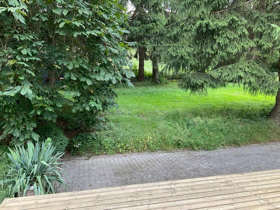 Wohnung In Idyllischem Oertchen Meschede Dış mekan fotoğraf